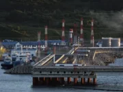 Indyjskie rafinerie unikają rosyjskiej ropy, forsując umowę handlową z USA: źródła