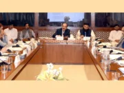 Panel Senatu krytykuje ministerstwo żywności