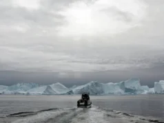 USA zgadzają się na rozmowy z Danią w sprawie Grenlandii