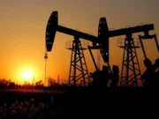 Ogra poszukuje informacji na temat dolarowego zwrotu z projektu naftowego