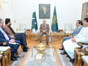 Polityczne podejście do rozwiązywania problemów