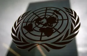 ONZ nazywa przemoc wobec kobiet „globalnym stanem nadzwyczajnym” – Świat