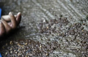 W wyniku wybuchu w indyjskiej fabryce materiałów wybuchowych zginęło 17 osób – Świat