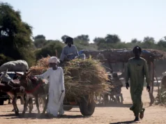 169 osób zginęło w masakrze w Sudanie Południowym – Świat