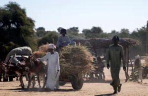 169 osób zginęło w masakrze w Sudanie Południowym – Świat