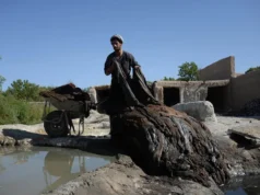 Branża skórzana szuka ulg regulacyjnych – Biznes
