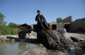 Branża skórzana szuka ulg regulacyjnych – Biznes