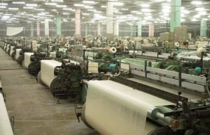 Eksporterzy tekstyliów ostrzegają przed wadami – Gazeta