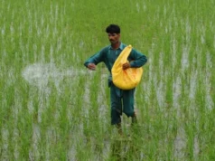 Wzrost zysków firm nawozowych w 2025 roku – Biznes