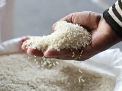 Eksport ryżu spada pomimo dotacji – Biznes