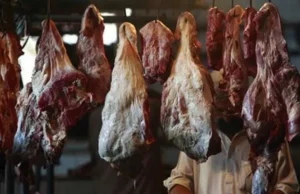 Eksporterzy mięsa ponoszą dodatkowe opłaty logistyczne – Biznes
