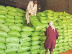 Nie przewiduje się braków nawozów pod uprawy Rabi, Kharif – Biznes