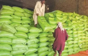 Nie przewiduje się braków nawozów pod uprawy Rabi, Kharif – Biznes