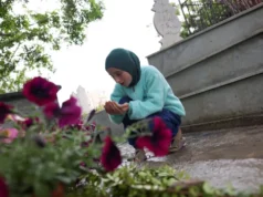 „Eid już dla nas nie istnieje”: wojna i wysiedlenia rzuciły cień na święto Eid w Libanie – Świat