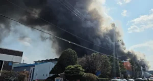 14 ofiar śmiertelnych, 59 rannych w pożarze fabryki samochodów w Korei Południowej