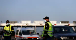 Włoska policja ostrzega, że gady są wykorzystywane przez oszustów jako broń po wężach znalezionych za fałszywą ścianą