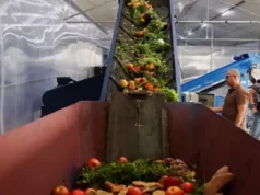 Globalny kryzys związany z marnotrawieniem żywności zagraża klimatowi i bezpieczeństwu, twierdzi urzędnik UNEP