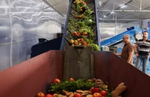 Globalny kryzys związany z marnotrawieniem żywności zagraża klimatowi i bezpieczeństwu, twierdzi urzędnik UNEP