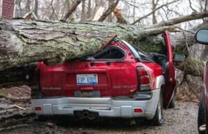 Tornada przedzierają się przez środkowe Stany Zjednoczone, zginęło osiem osób – Świat