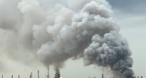 Strategiczne rezerwy ropy naftowej na stole podczas spotkania G7 – Świat