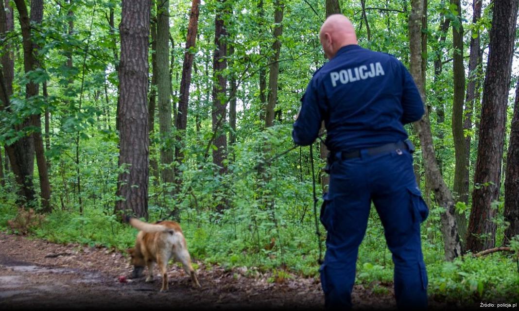 Fatalne wypadki z udziałem rowerzystów w powiecie węgrowskim